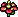 Mystic Flower