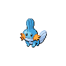 Baby Mudkip