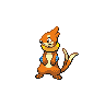 Buizel