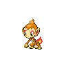Chimchar