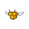 Combee