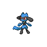 Riolu