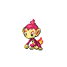 Shiny Chimchar