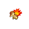 Shiny Cyndaquil