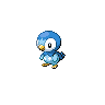 Shiny Piplup