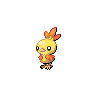 Shiny Torchic